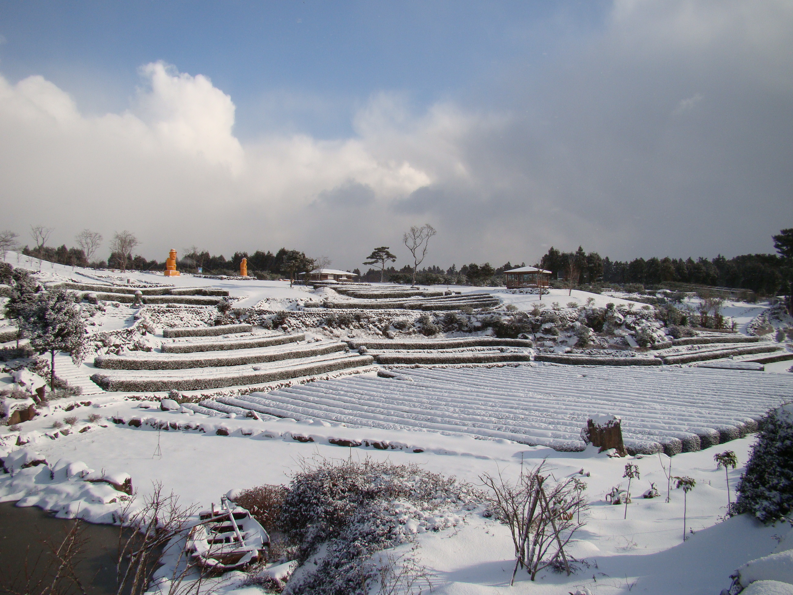 서귀포농업기술센터 겨울사진입니다. 서귀포에도 이렇게 눈이 내리네요!!!